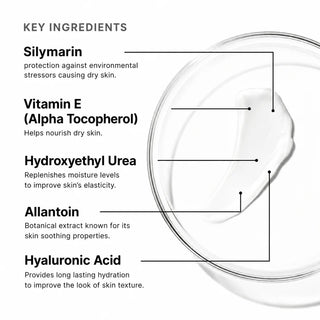 Antioxidant Lip Repair